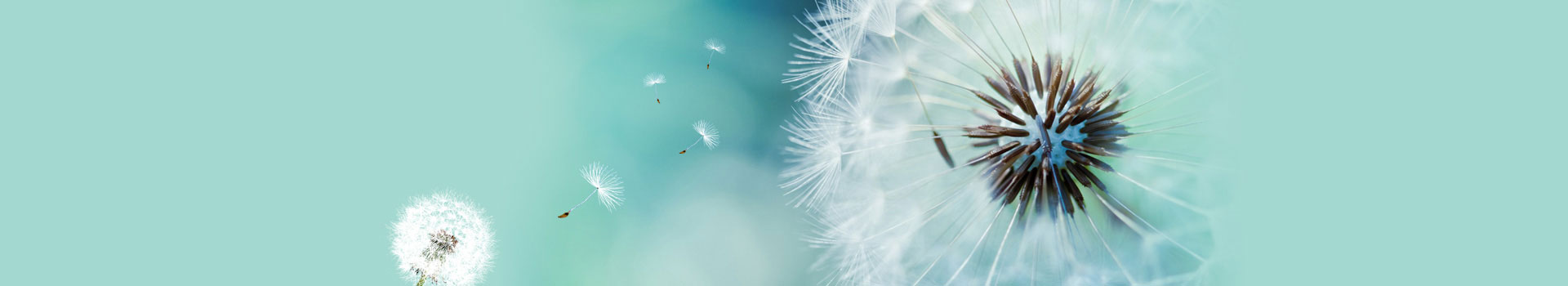 廣州過(guò)期食品銷毀,報(bào)廢食品處理,銷毀不合格食品,過(guò)期化妝品銷毀,面膜銷毀,護(hù)膚品銷毀